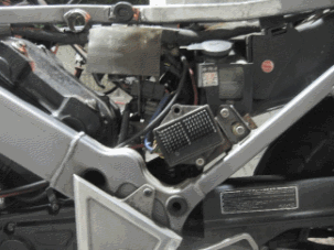 img1121.gif