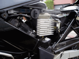 img64.gif